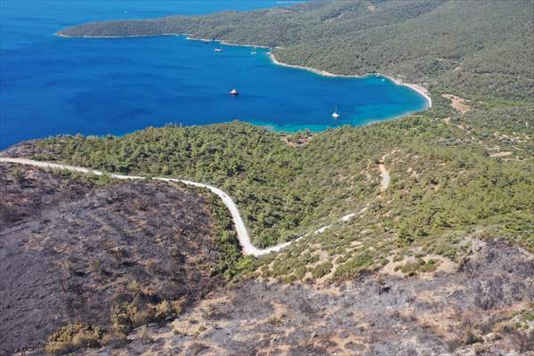 Aftermath of forest fires in Turkey's Mugla