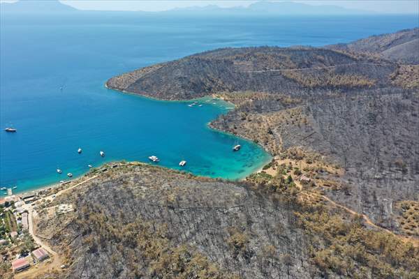 Aftermath of forest fires in Turkey's Mugla