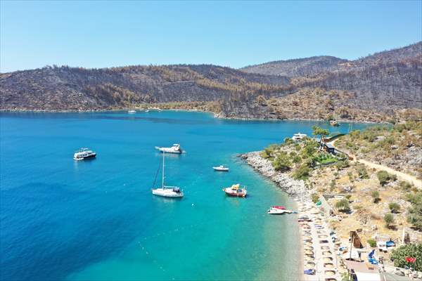 Aftermath of forest fires in Turkey's Mugla