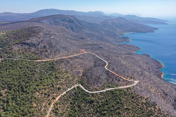 Aftermath of forest fires in Turkey's Mugla