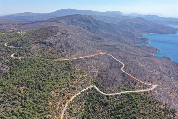 Aftermath of forest fires in Turkey's Mugla