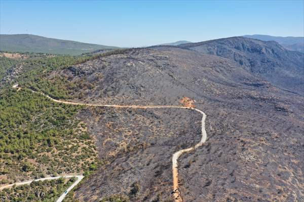 Aftermath of forest fires in Turkey's Mugla