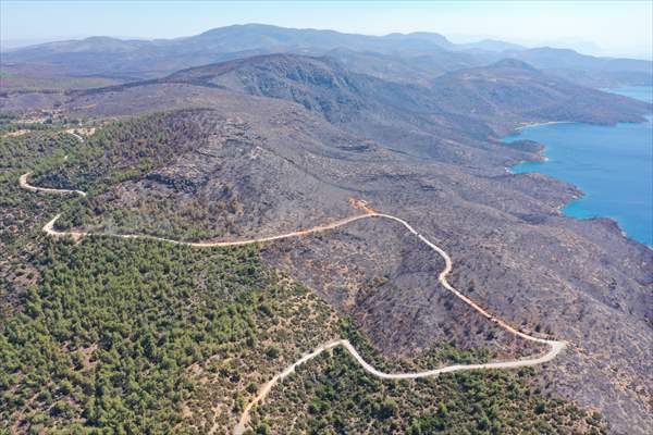 Aftermath of forest fires in Turkey's Mugla