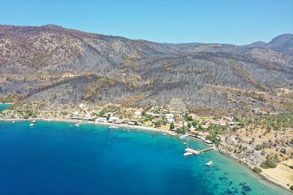 Aftermath of forest fires in Turkey's Mugla