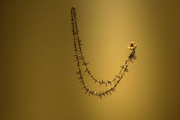 The Pre-Colombian Gold Museum