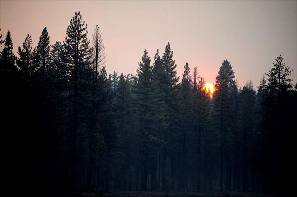 Dixie Fire in California