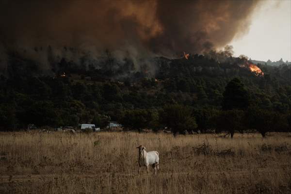 Wildfire in Greece​​​​​​​