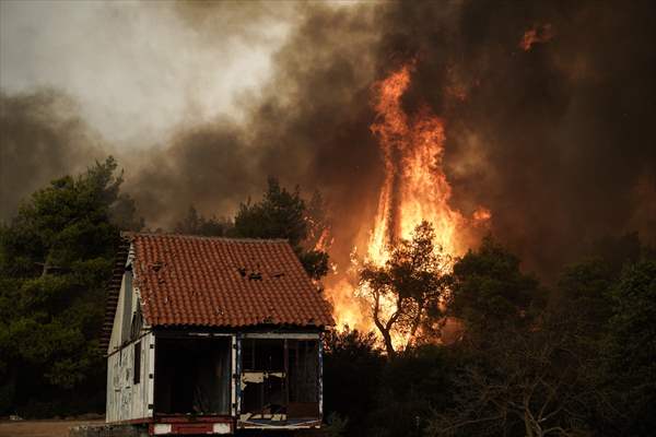 Wildfire in Greece​​​​​​​