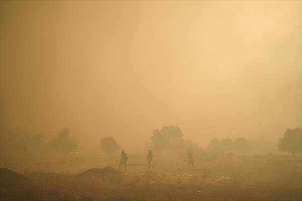 Wildfire in Greece​​​​​​​