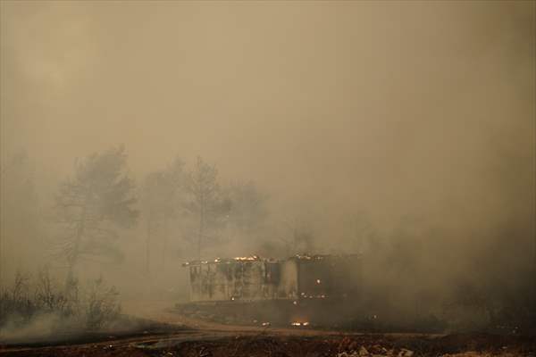 Wildfire in Greece​​​​​​​