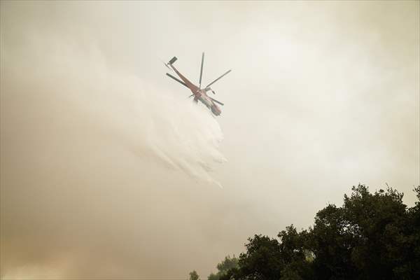 Wildfire in Greece​​​​​​​