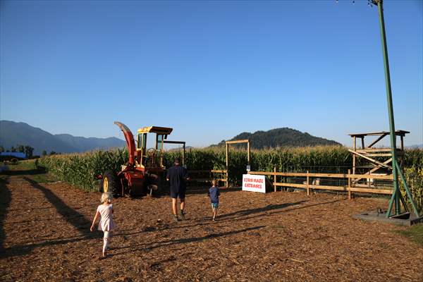 Chilliwack Corn Maze