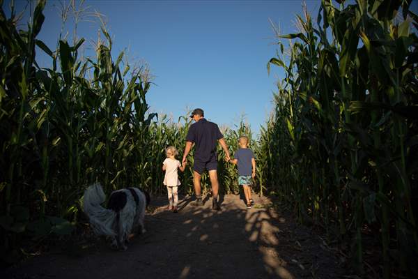 Chilliwack Corn Maze