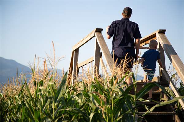 Chilliwack Corn Maze