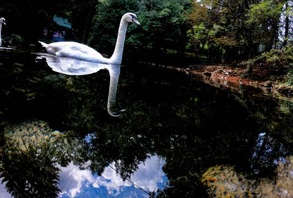 Vrelo Bosne National Park in Sarajevo