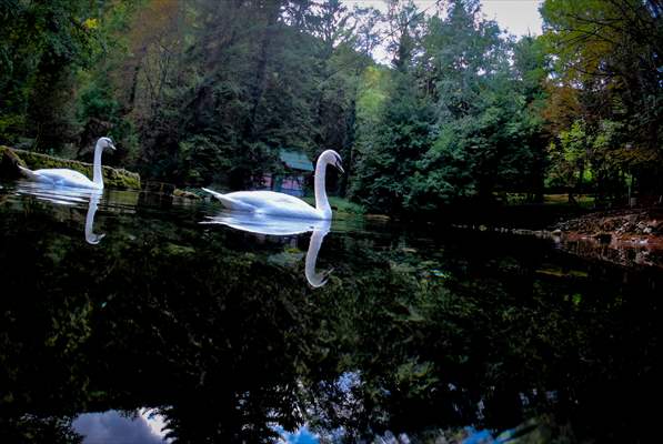 Vrelo Bosne National Park in Sarajevo