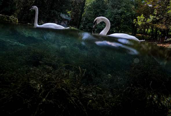 Vrelo Bosne National Park in Sarajevo