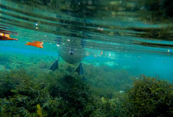 Vrelo Bosne National Park in Sarajevo