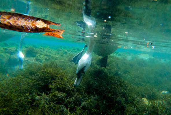 Vrelo Bosne National Park in Sarajevo