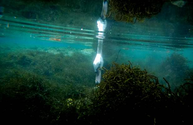 Vrelo Bosne National Park in Sarajevo