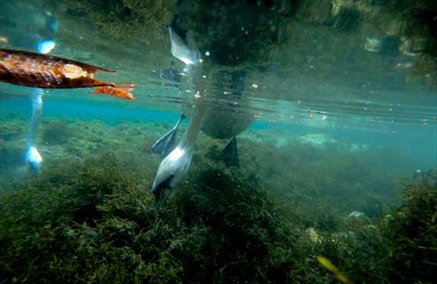 Vrelo Bosne National Park in Sarajevo