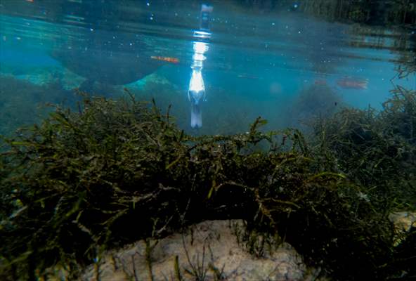 Vrelo Bosne National Park in Sarajevo