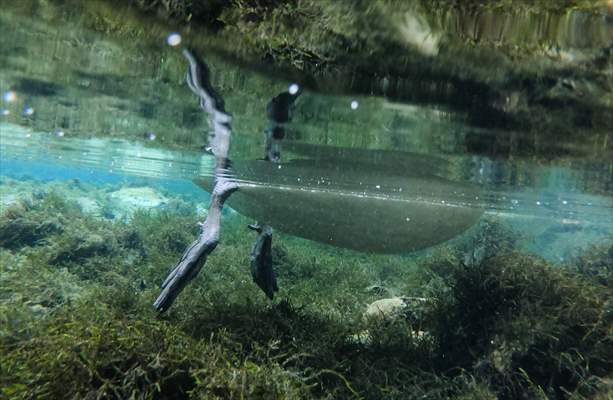 Vrelo Bosne National Park in Sarajevo
