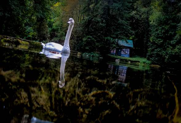 Vrelo Bosne National Park in Sarajevo