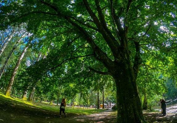 Vrelo Bosne National Park in Sarajevo