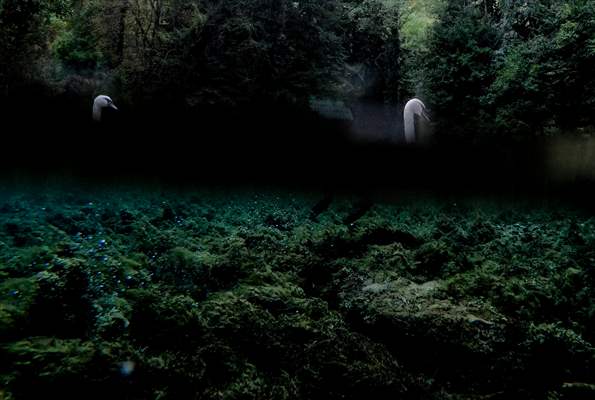 Vrelo Bosne National Park in Sarajevo