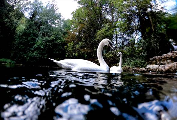 Vrelo Bosne National Park in Sarajevo
