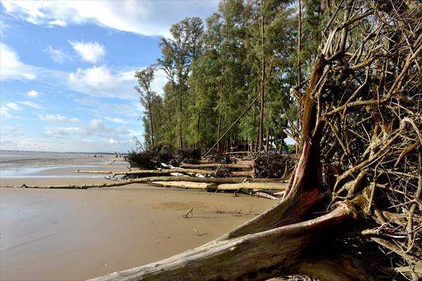 Coastal erosion on Anwara Beach in Bangladesh