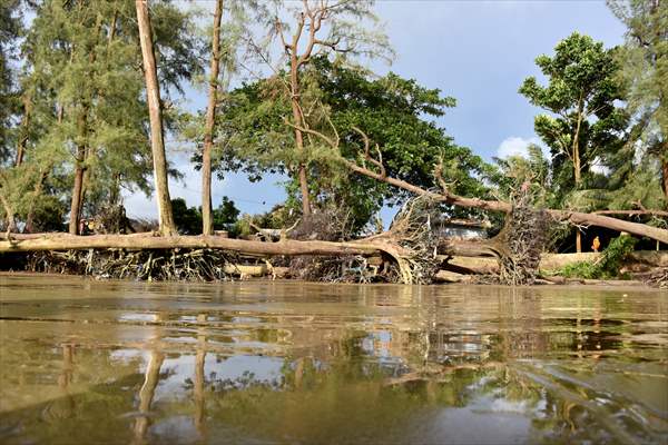 Coastal erosion on Anwara Beach in Bangladesh