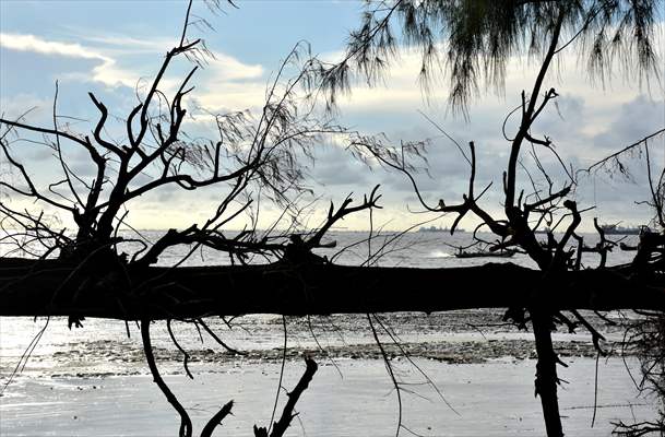 Coastal erosion on Anwara Beach in Bangladesh