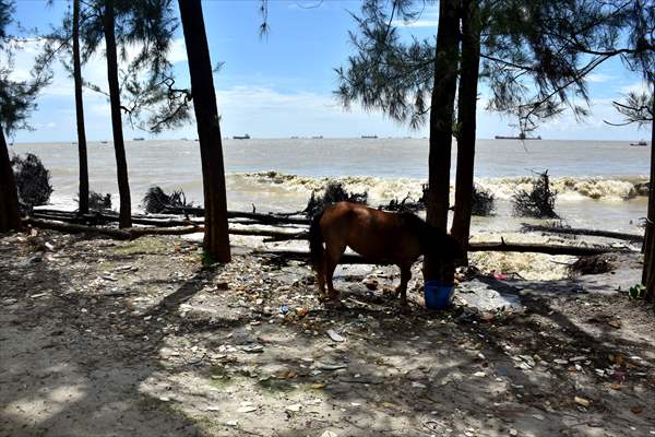 Coastal erosion on Anwara Beach in Bangladesh