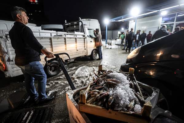 Fish market in Ankara after the beginning of fishing season