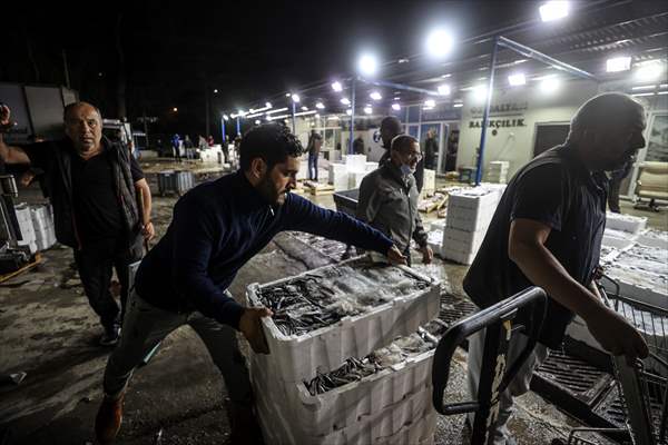 Fish market in Ankara after the beginning of fishing season