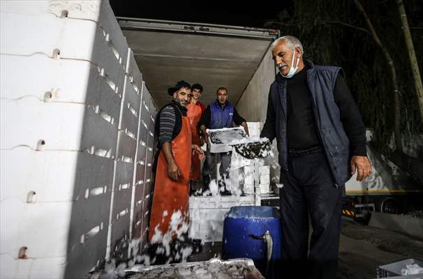 Fish market in Ankara after the beginning of fishing season