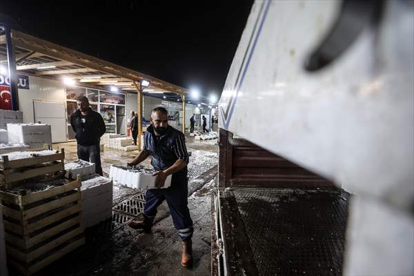 Fish market in Ankara after the beginning of fishing season