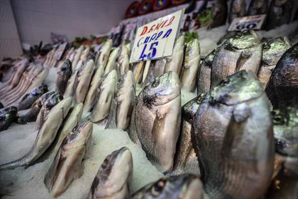 Fish market in Ankara after the beginning of fishing season