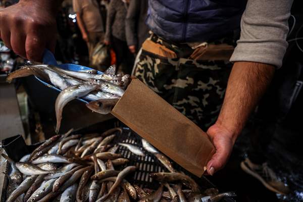 Fish market in Ankara after the beginning of fishing season