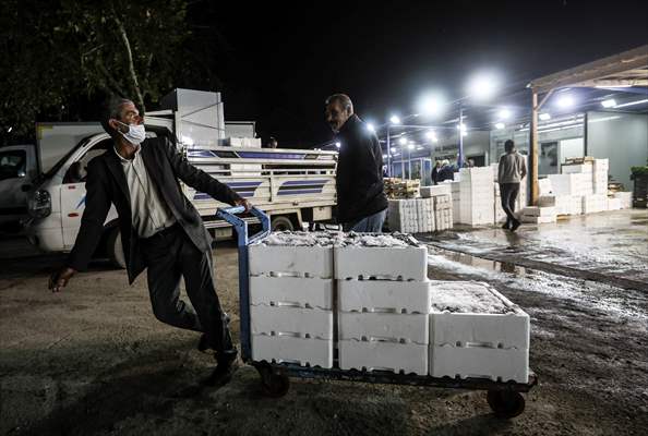 Fish market in Ankara after the beginning of fishing season