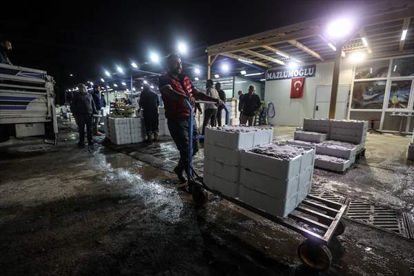 Fish market in Ankara after the beginning of fishing season