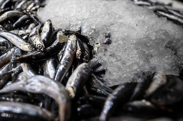 Fish market in Ankara after the beginning of fishing season