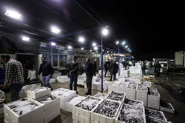 Fish market in Ankara after the beginning of fishing season