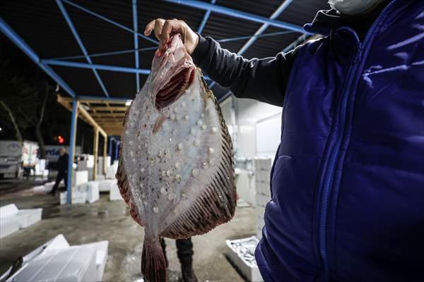 Fish market in Ankara after the beginning of fishing season