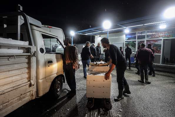 Fish market in Ankara after the beginning of fishing season