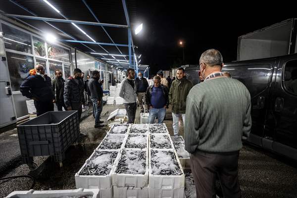 Fish market in Ankara after the beginning of fishing season