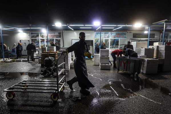 Fish market in Ankara after the beginning of fishing season