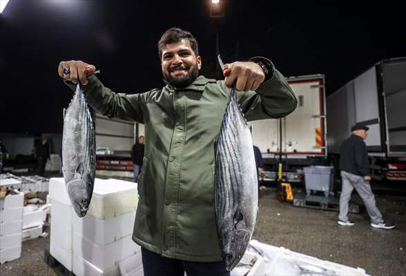 Fish market in Ankara after the beginning of fishing season